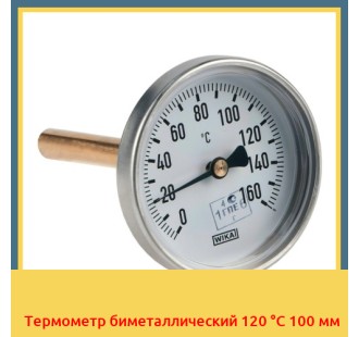 Термометр биметаллический 120 °С 100 мм в Коканде